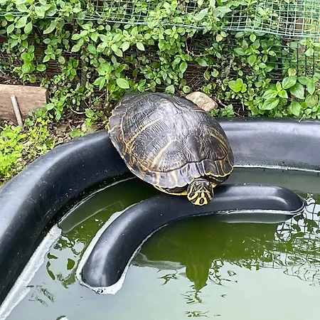 בית נופש Family House Ossuccio