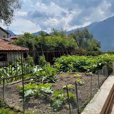 בית נופש Family House *