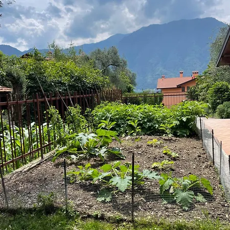 Family House Casa vacanze