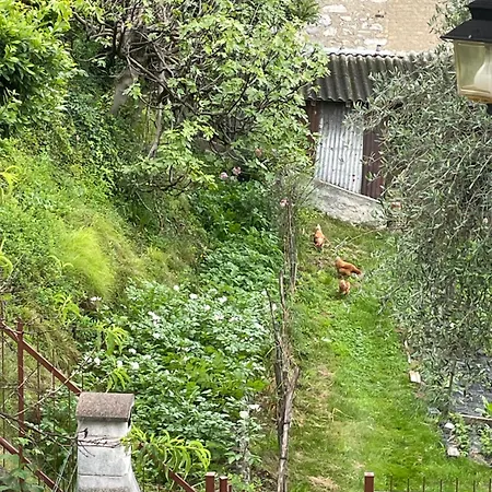 Family House Ossuccio